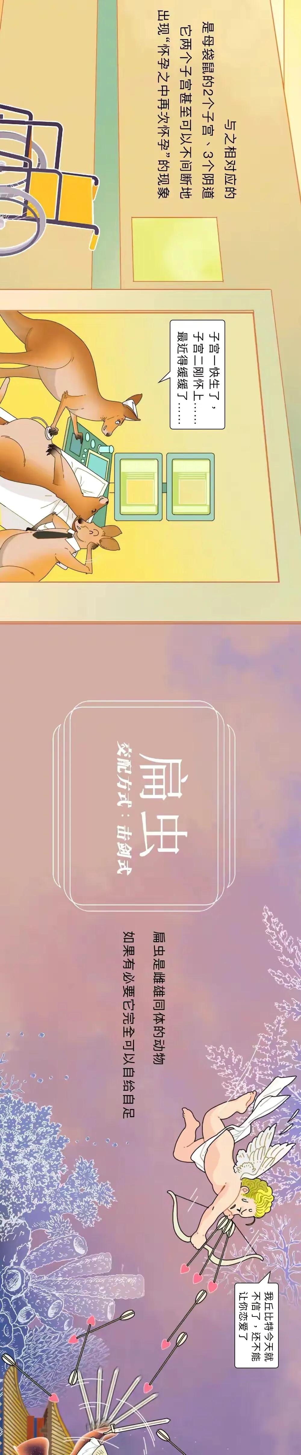 海陆空动物交配姿势对照表（严肃正经版）