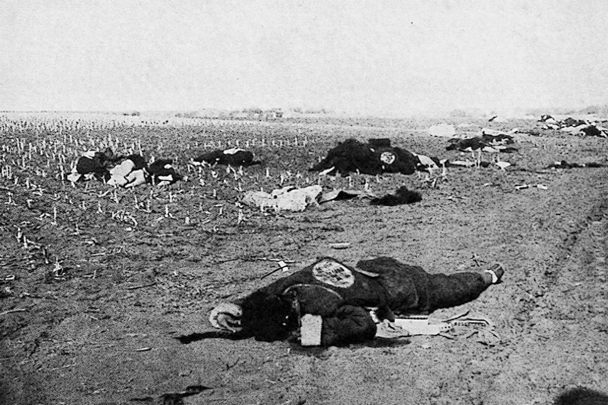 渚靛崕鏃ュ啗鍏借,鏃ュ啗渚靛崕鍏借