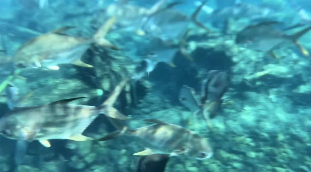 中国人在韩国旅游的待遇,华人赴日韩旅游待遇