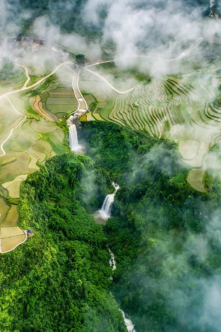 绿色狂想曲,绿色狂想曲三年级