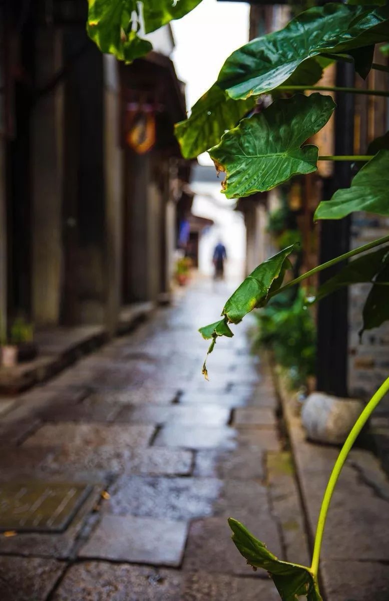 散文欣赏轻语岁月淡看流年,珍惜当下让人安然而静的散文