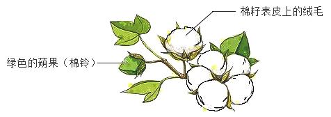 中考生物一轮复习专题训练二十现代生物技术