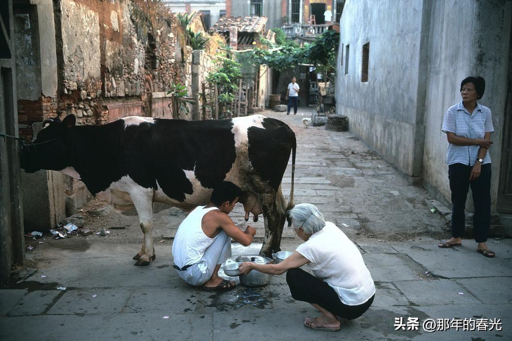 【时光印记】晚清花楼女子30张老照片,丰乳肥臀,仪态万千