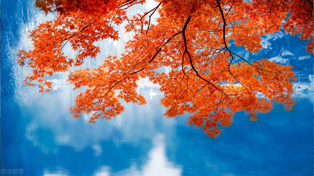 suitfit和match的用法,fitsuitmatch的区别简单记法