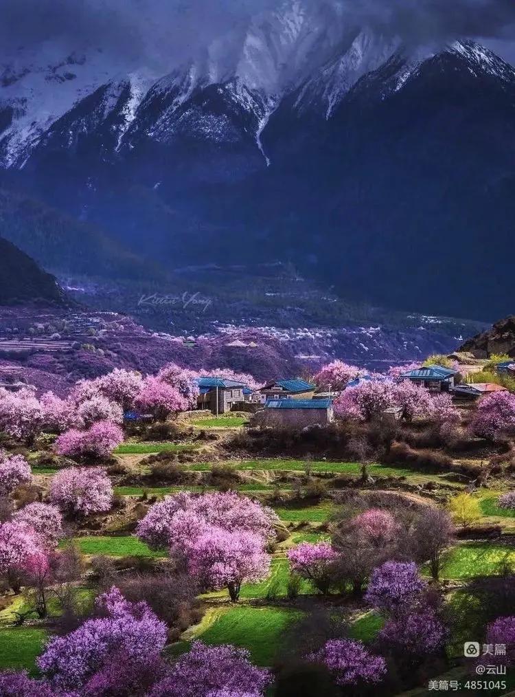 画意风光,画意风光摄影