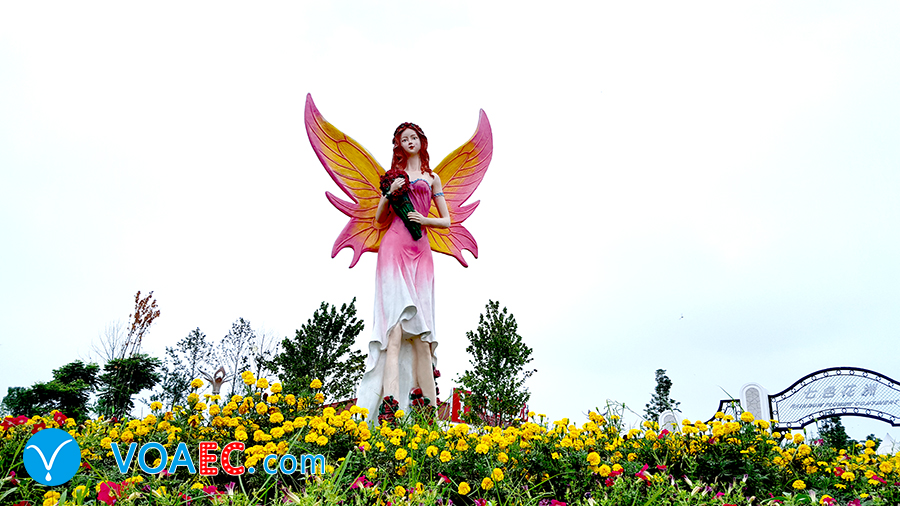 我英语不是很棒英语怎么说,我英语不是很好请见谅的英文