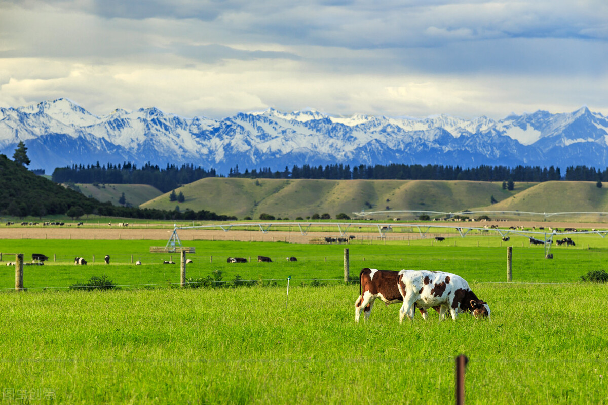 十个你不知道的冷知识大米,十个你不知道的有趣冷知识