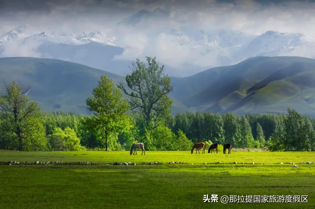 2023那拉提度假攻略：独库公路自驾游（六）