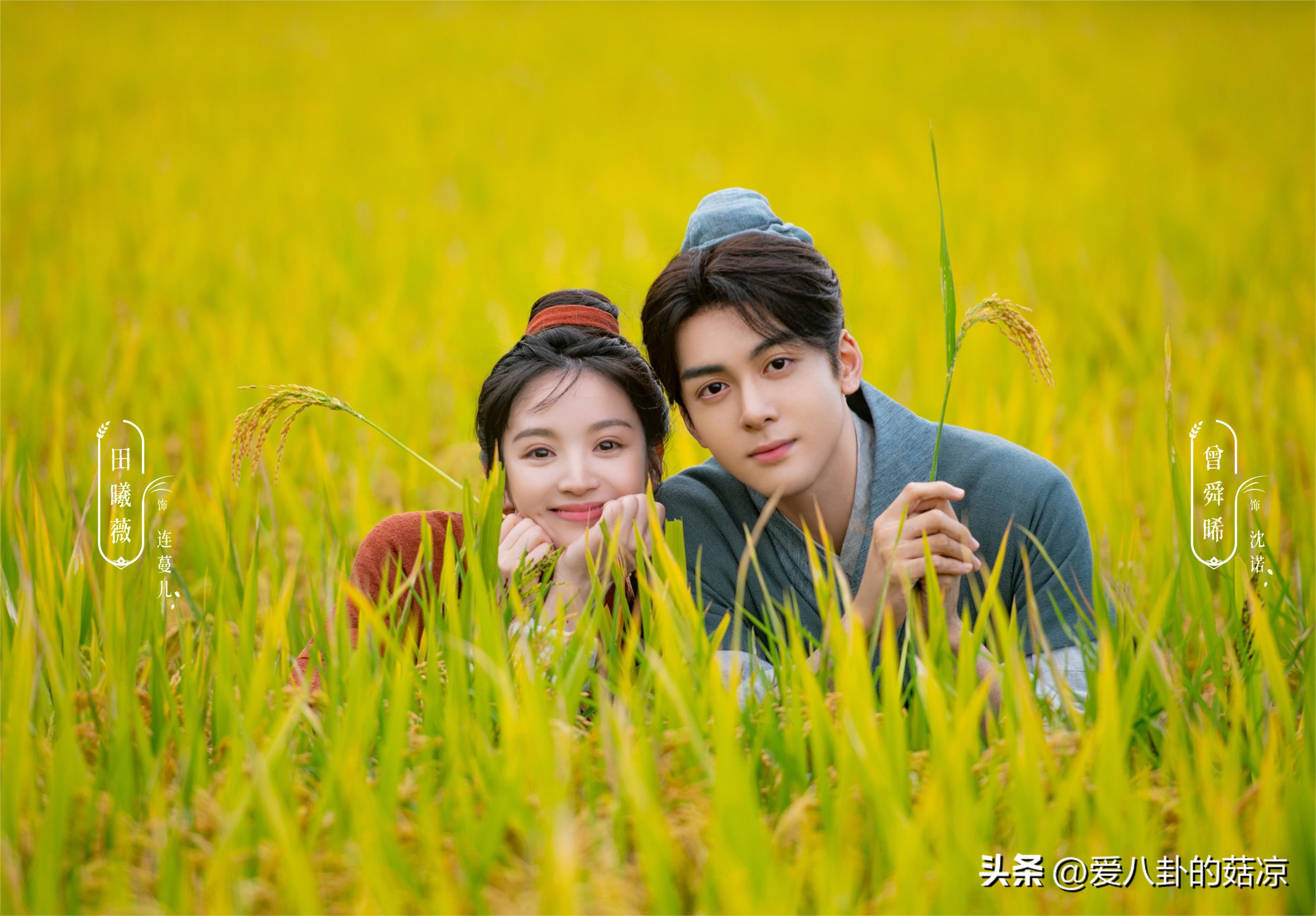 一些好看的国产古装小甜剧推荐,2020年五部未播先火的甜宠古装剧