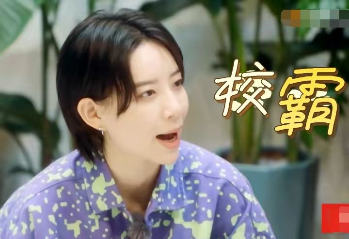 宁静李斯丹妮比拼,宁静李斯丹妮不合吗