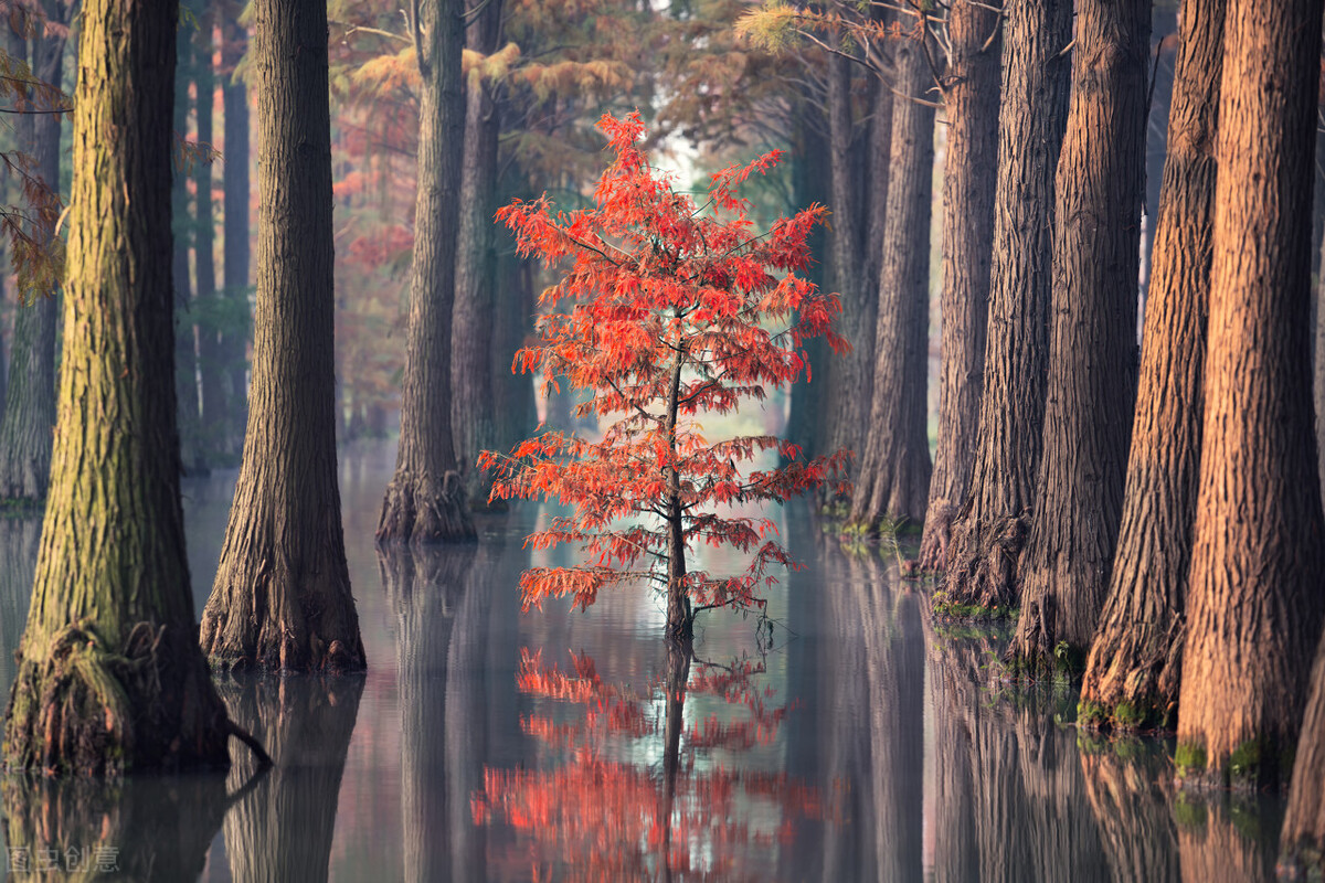 米兰的按摩院（下）