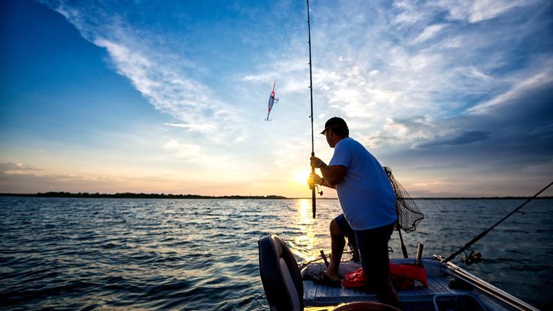 路亚带来了什么,路亚让人快乐视频
