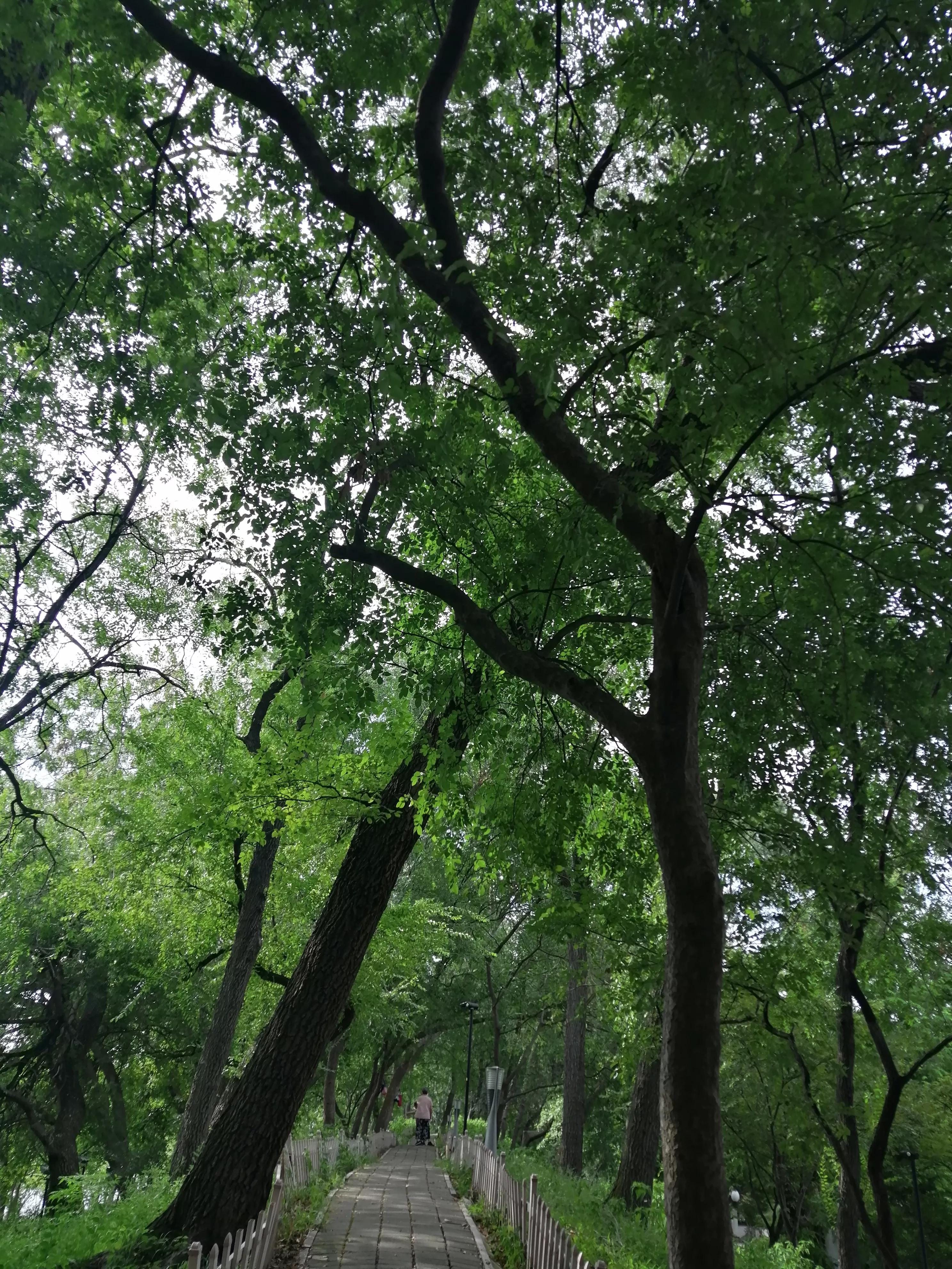 东园好玩的景点推荐,东园旅游景点推荐