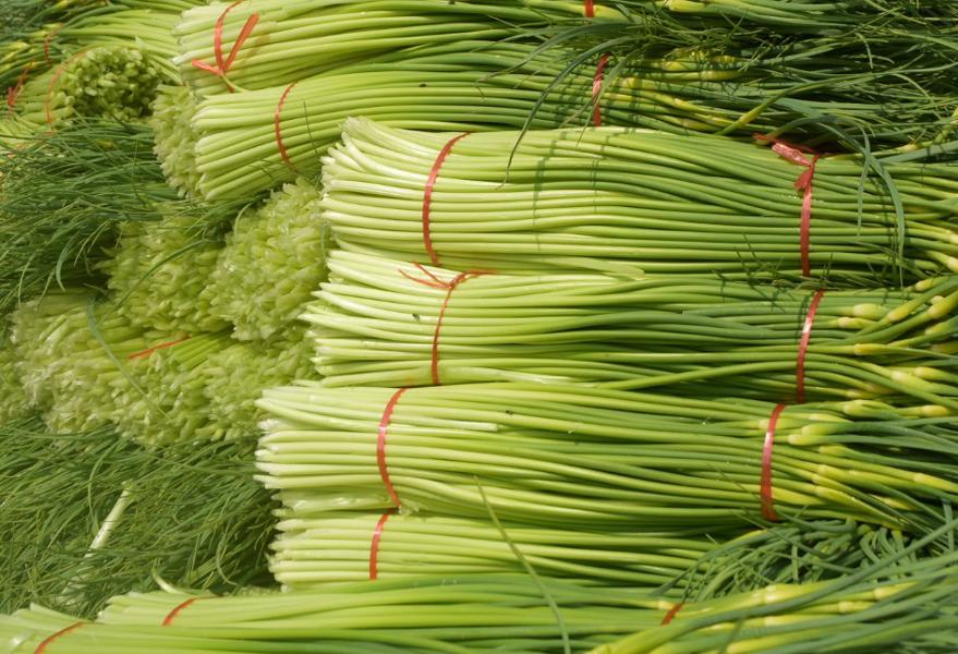 种10000亩大蒜收益,种大蒜亏了几十万