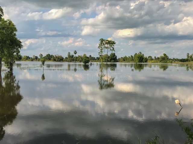 近期各地大雨暴雨情况,7月底各地暴雨情况