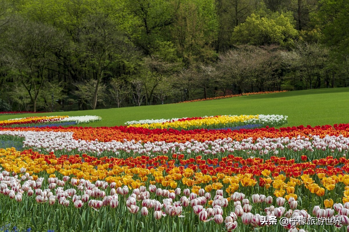 杭州郊外踏春,踏春杭州