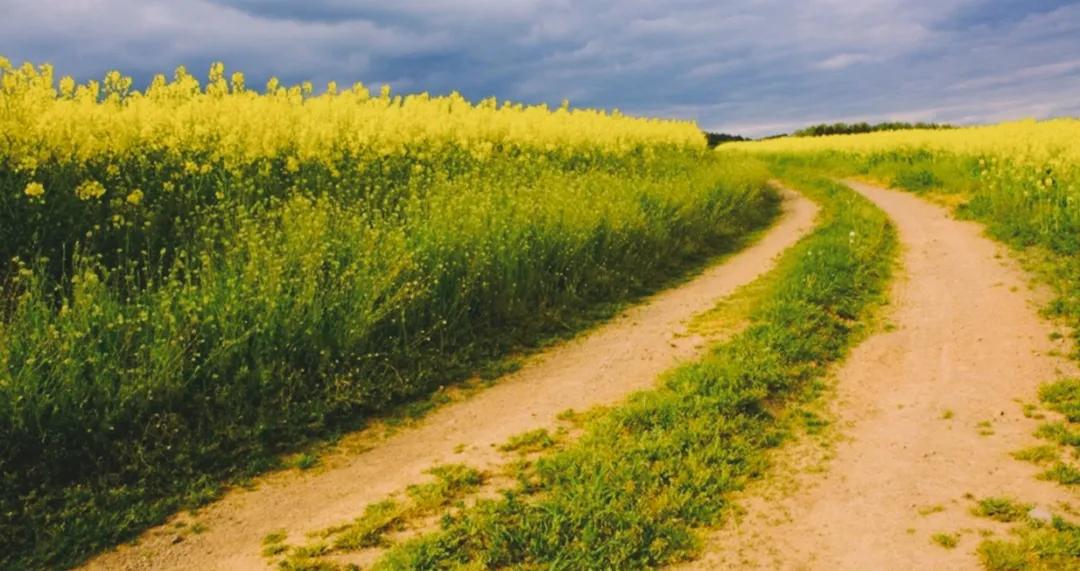 盲人阿详，在黑暗中的我，靠按摩赚了数千万家产