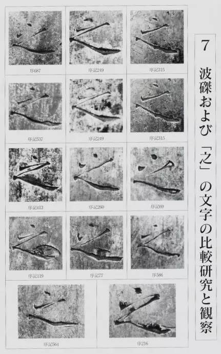 宸ョ瑪鐢绘潹鏅箟鐢诲唽,鏉滈箖鏉ㄦ櫘涔夊畬鏁寸増