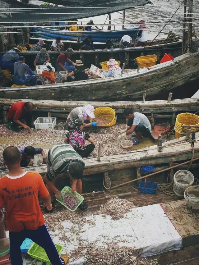 洞头海山民宿,温州洞头岛海景民宿