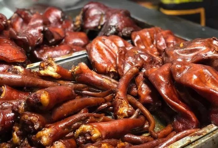 提前盛开！成都市区这个被偏爱的宝藏地又上新，即将刷爆全网