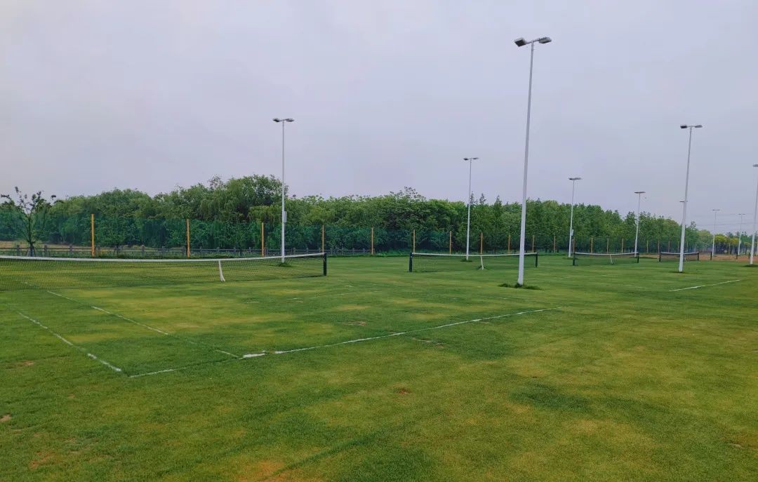 青少年网球比赛在哪里报名呢,青少年网球比赛报名最新