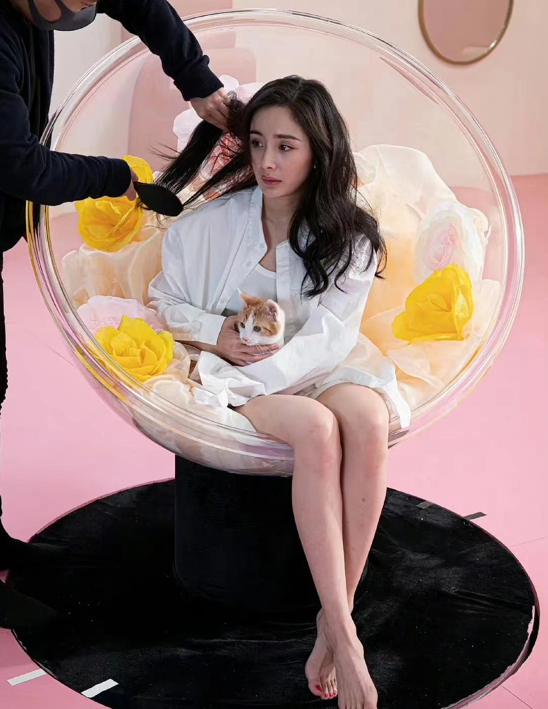 杨幂出道前后腿部对比,杨幂评价自己生图