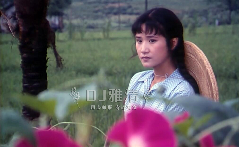 西子姑娘全部视频,西子姑娘1983