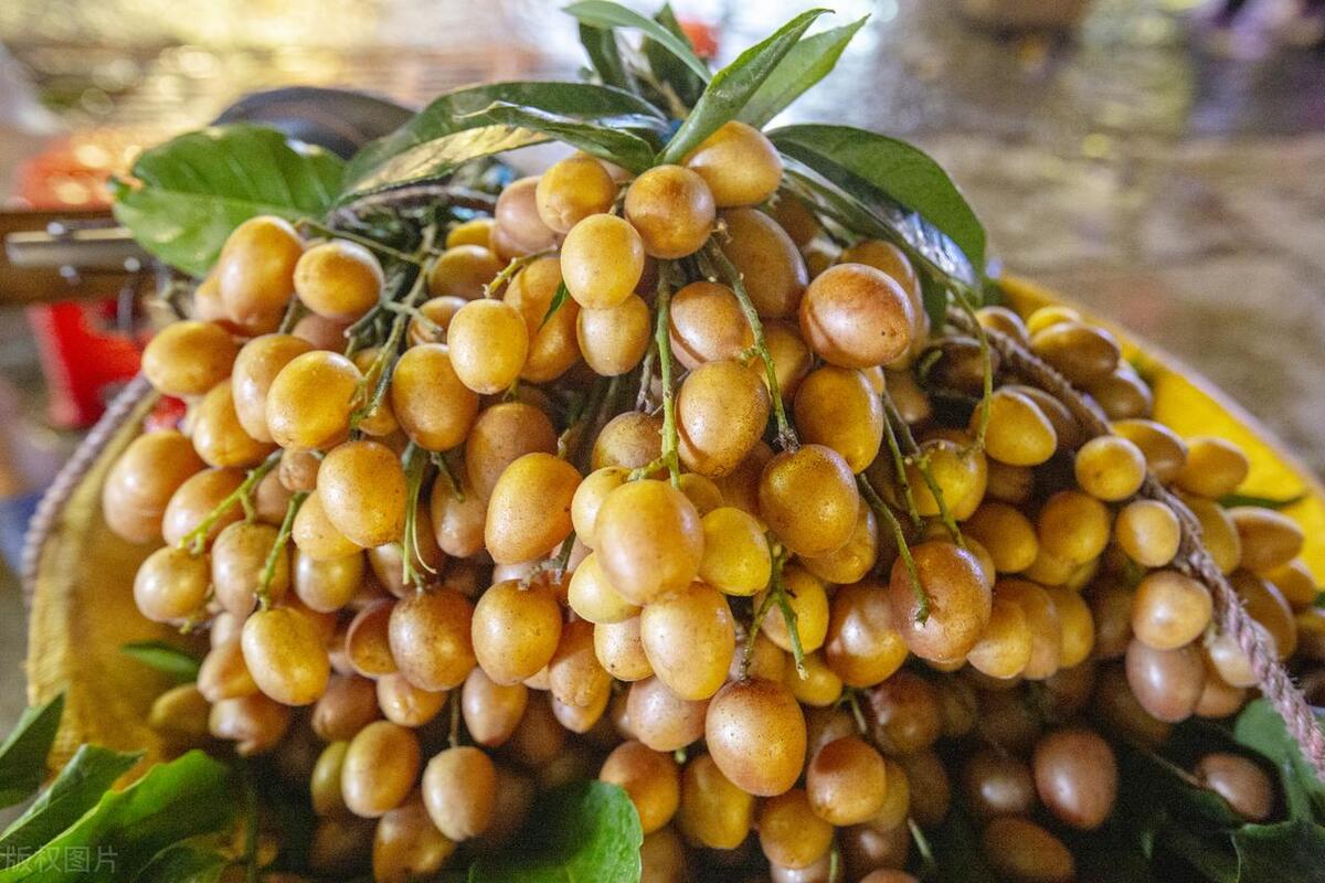 早熟巨峰葡萄几月份上市,今年的早熟苹果行情走势