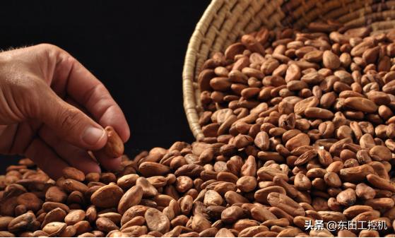 巧克力里面的黑科技,巧克力技术源自哪里