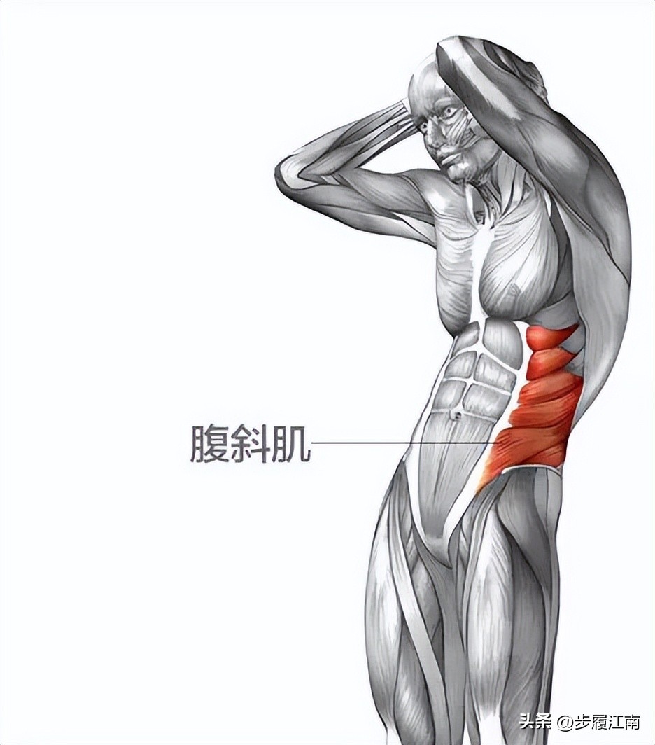 已经有了腹肌怎样练腹肌更明显,腹肌训练一个动作一分钟练出腹肌