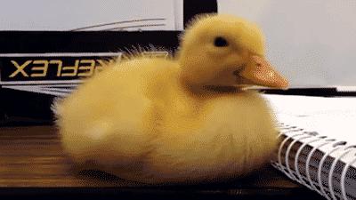 总是犯困浑身发懒是什么原因,犯懒犯困是啥原因