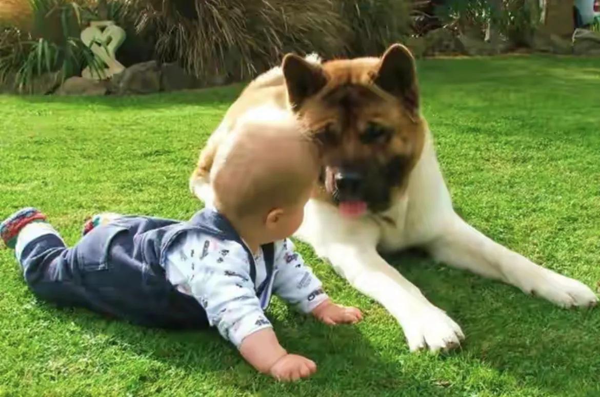 幽默笑话不胜酒力,关于水的幽默笑话段子