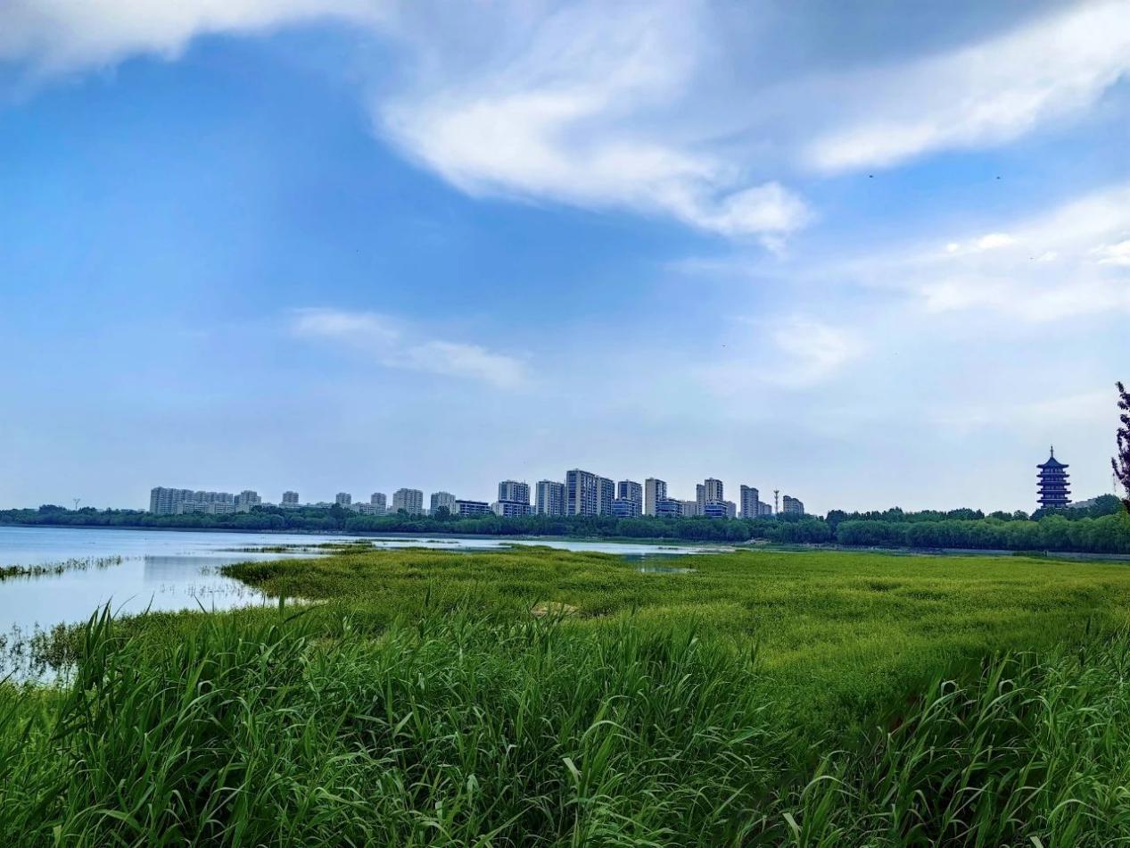 潍坊恒信地产绘就宜居城市的底色,潍坊恒信潍水之岸