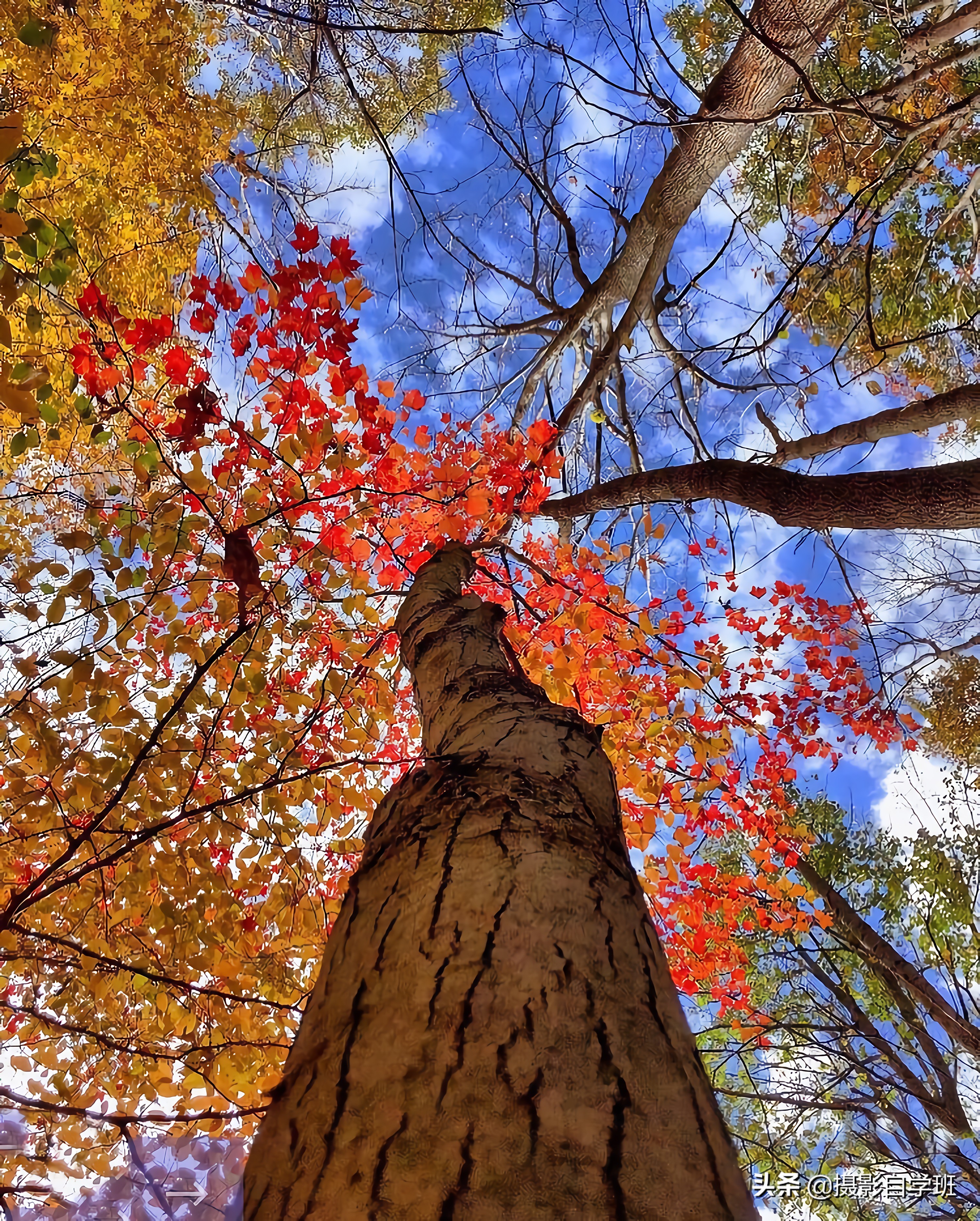 拍美景技巧视频,拍风景的9个摄影技巧