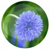 考你个问题，草坪可以踩吗？