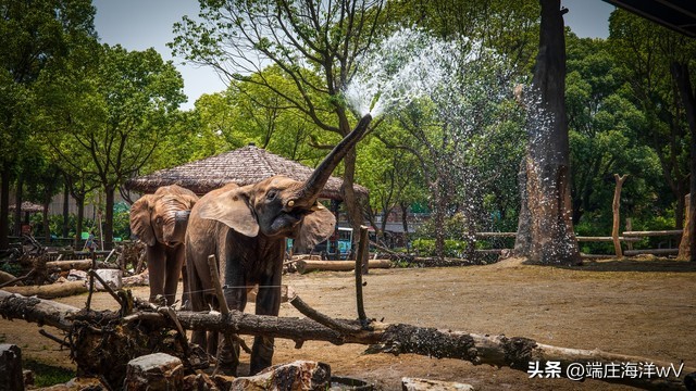 去上海十个必打卡地，每一个都美不胜收
