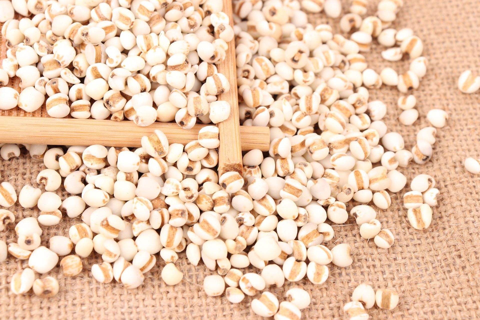 湿气重神疲乏力方剂,气虚健脾除湿气最好的方法