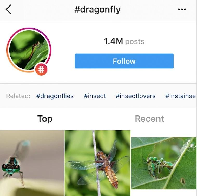 instagram有什么好的关注对象,instagram热门话题怎么找