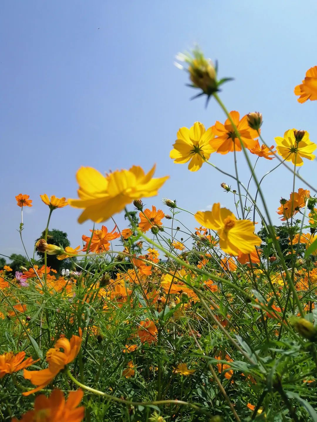 六一童真之旅,欢乐过六一儿童创意作品