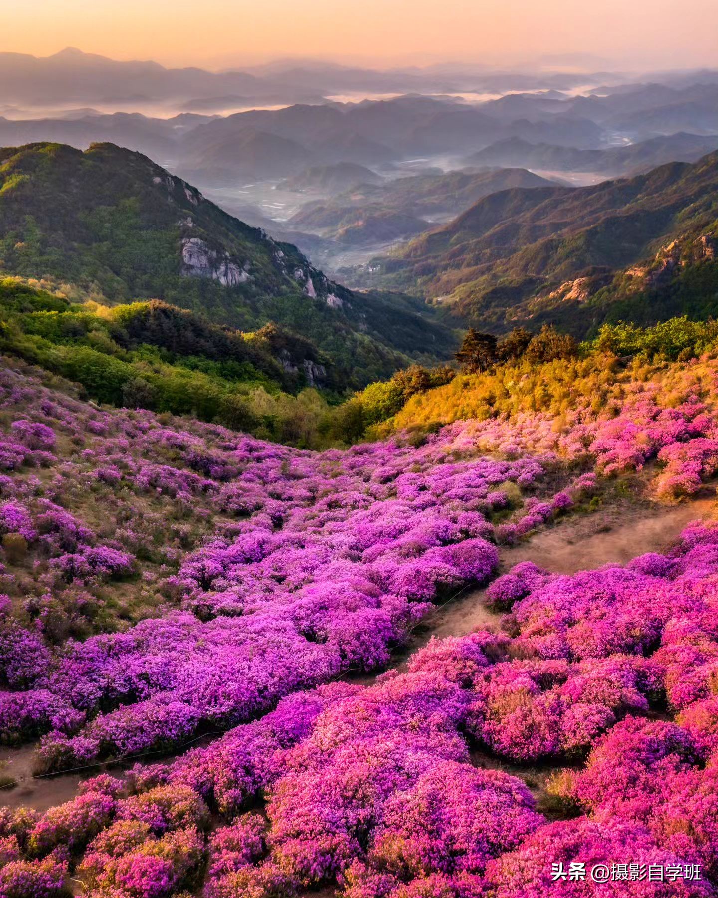 夏天拍摄照片技巧有哪些,夏日摄影拍照技巧