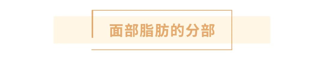 上海九院韦敏整形案例,九院整形科医生韦敏