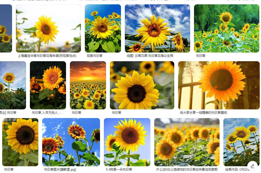 公众号logo动态,做公众号logo用什么软件