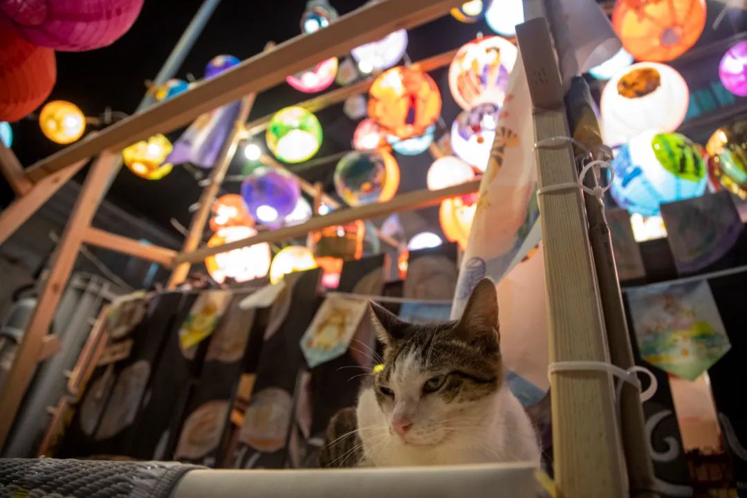 香港没有一个人，在九月中秋买月饼