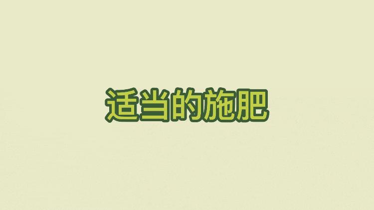 云种植宣传视频,云种果农业课堂