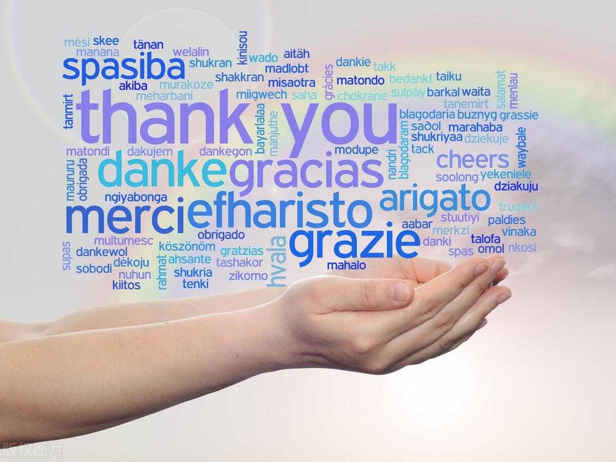 展示型外贸网站方案,营销型外贸网站建设