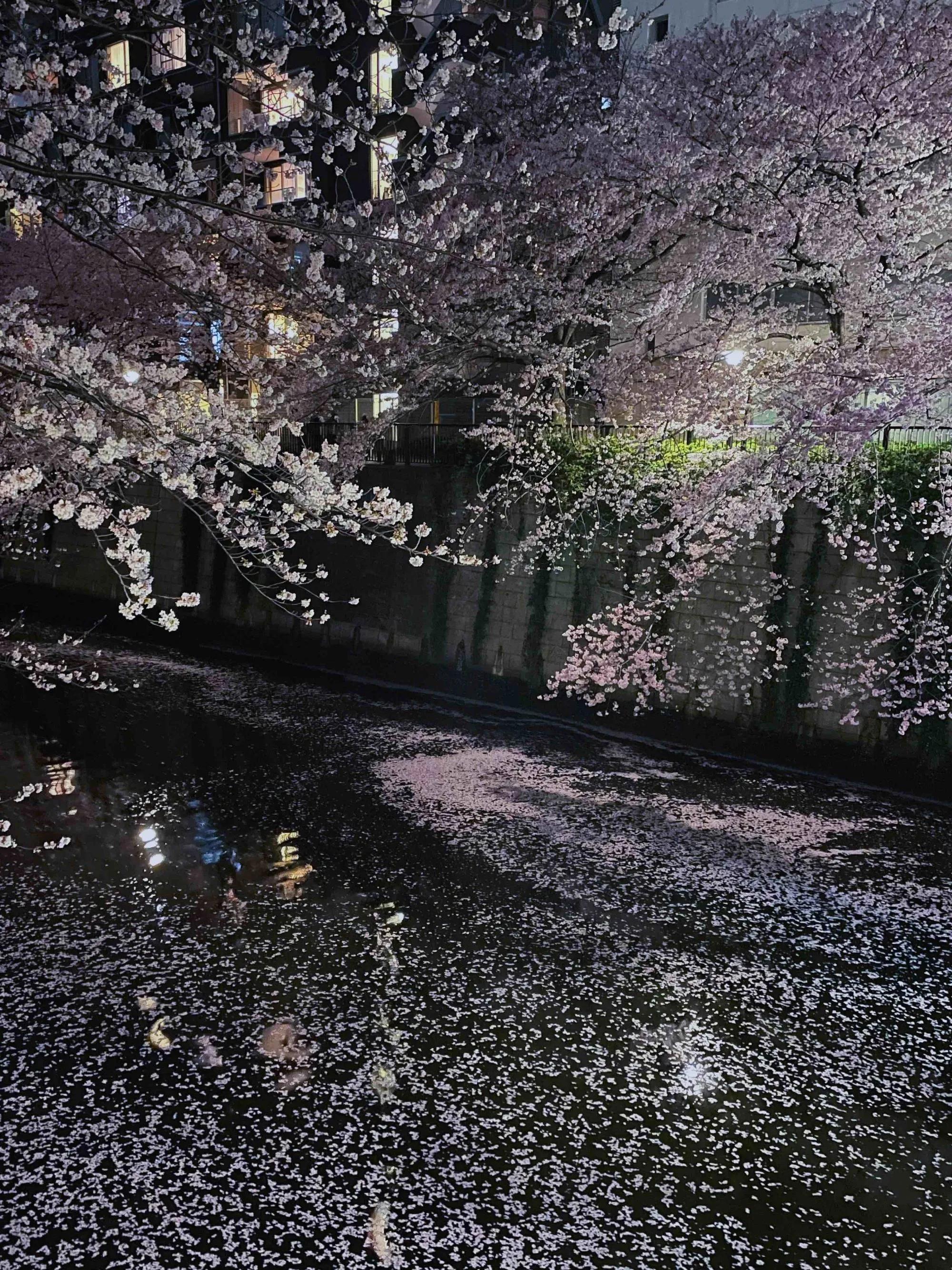 在漫长的历史长河中流浪,岁月漫长的远行