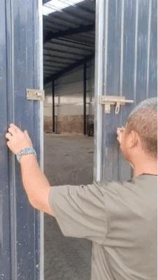 老鼠贴粘大老鼠跑了会死吗,老鼠贴粘到鸟违法吗