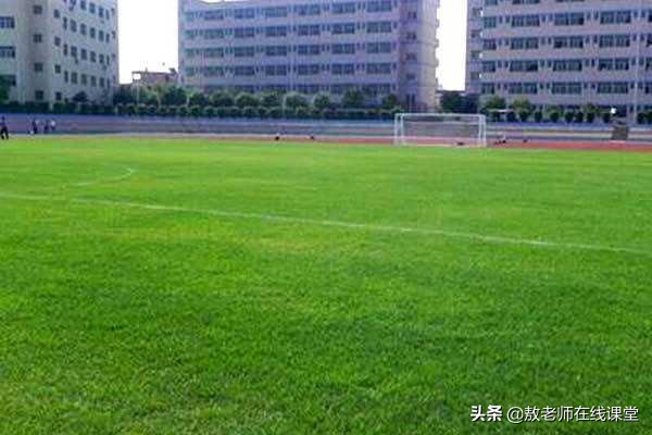 草坪园林景观设计,园林景观和草坪景观区别