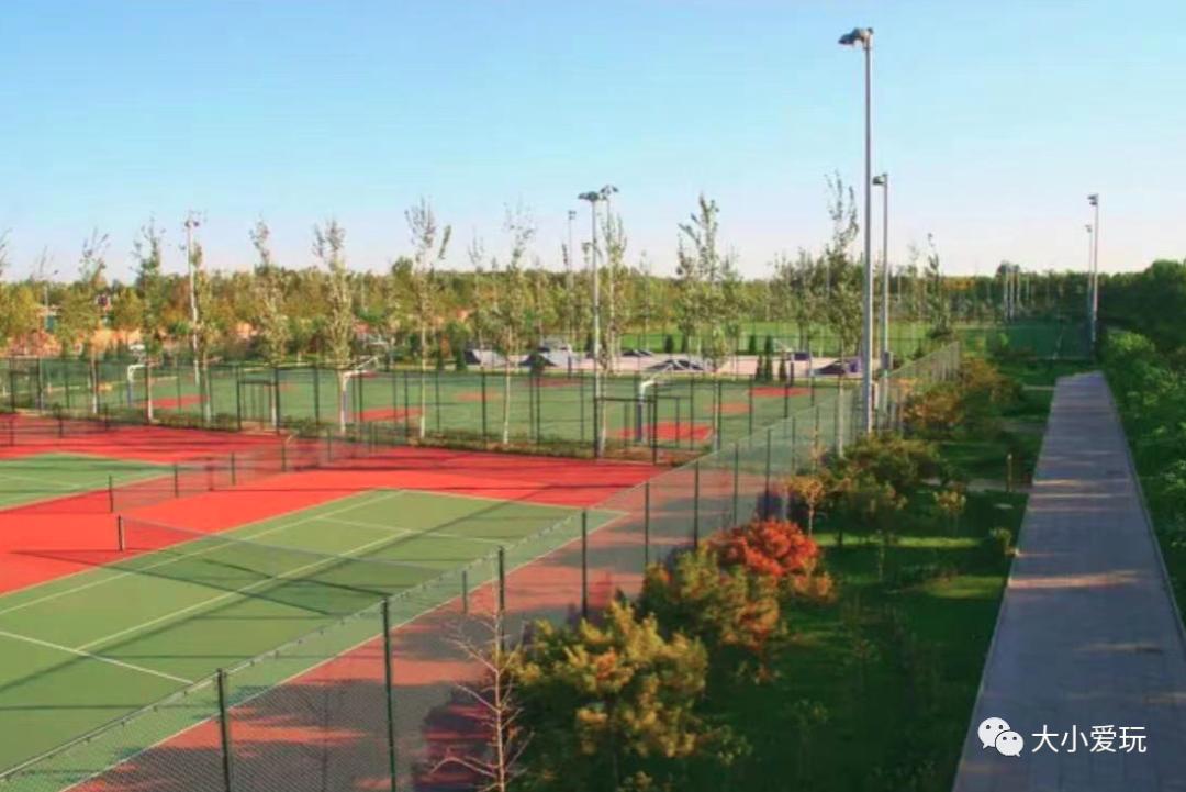 上海儿童户外运动乐园,全民健身户外儿童乐园