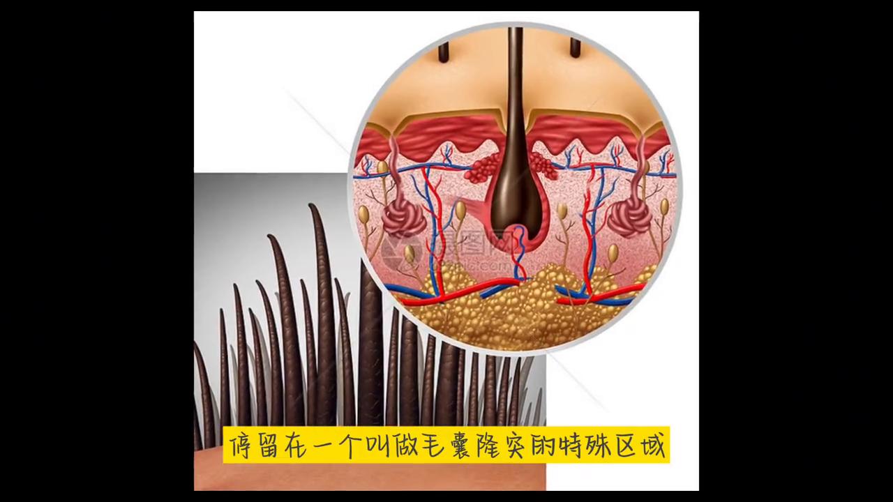 不惑大叔的励志视频,不惑大叔的自白